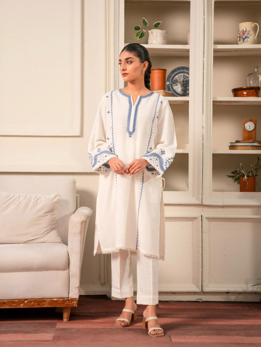 Beyond East : 2 piece Embroidered Linen Suit